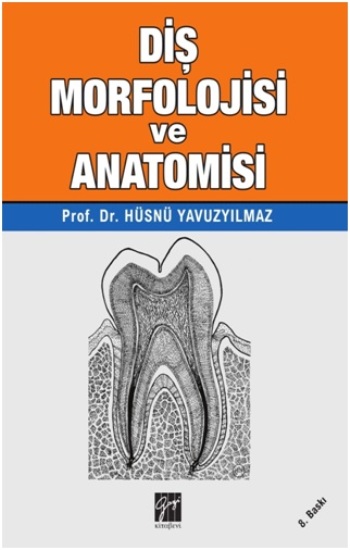 Diş Morfolojisi Ve Anatomisi