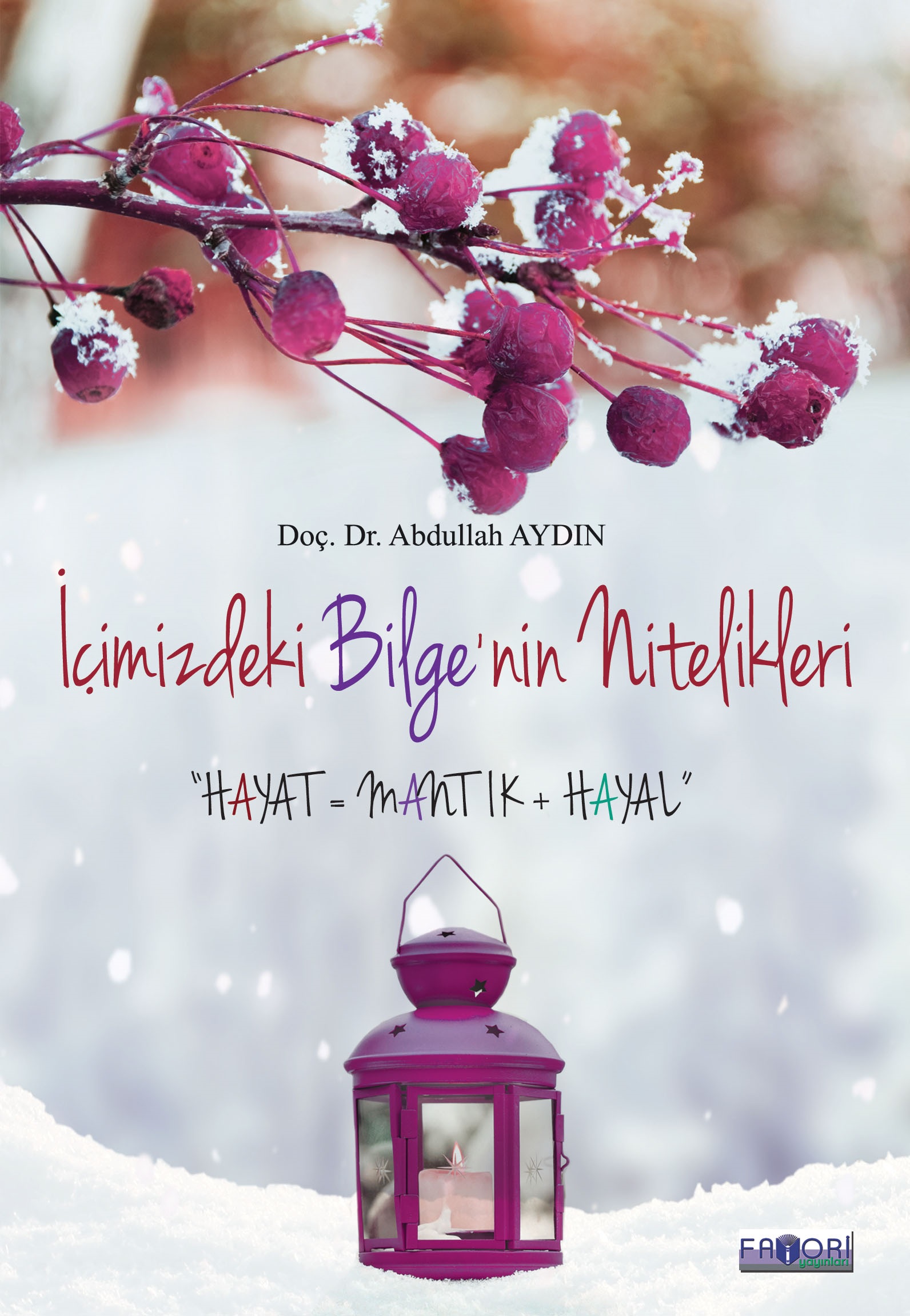 İçimizdeki Bilge’nin Nitelikleri