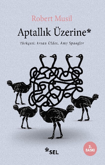 Aptallık Üzerine