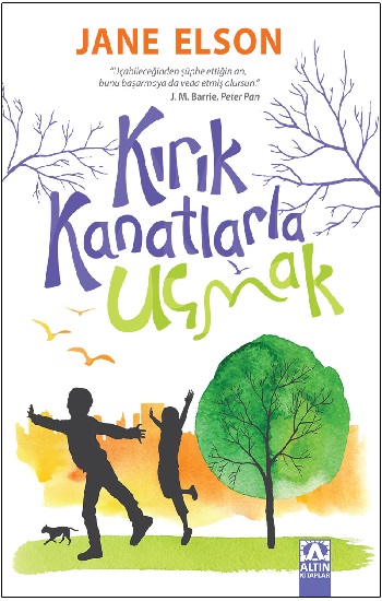 Kırık Kanatlarla Uçmak