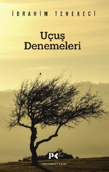 Uçuş Denemeleri