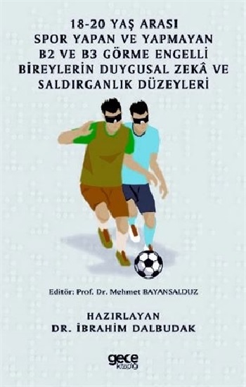 18-20 Yaş Arası Spor Yapan ve Yapmayan B2 ve B3 Görme Engelli Bireylerin Duygusal Zeka ve Saldırganlık Düzeyleri