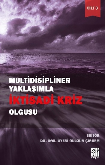 Multidisipliner Yaklaşımla İktisadi Kriz Olgusu Cilt: 3