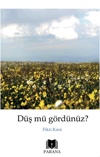 Düş mü gördünüz?