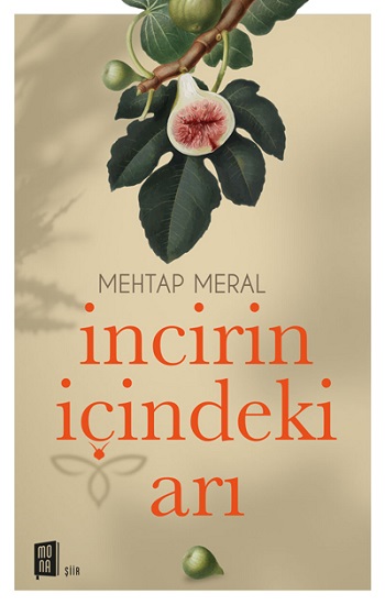 İncirin  İçindeki Arı