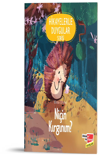 Niçin Kırgınım ? - Hikayelerle Duygular Serisi