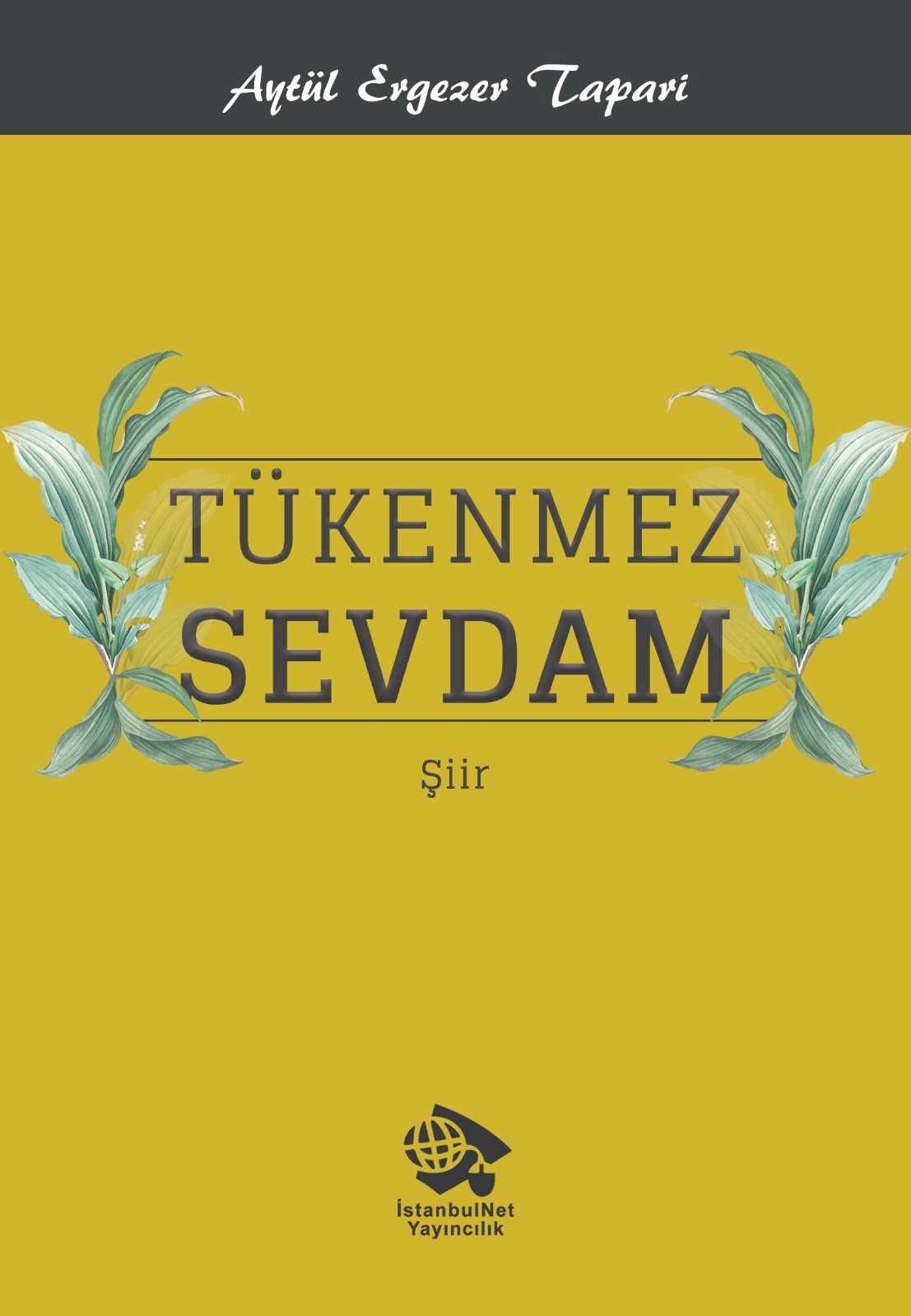 Tükenmez Sevdam