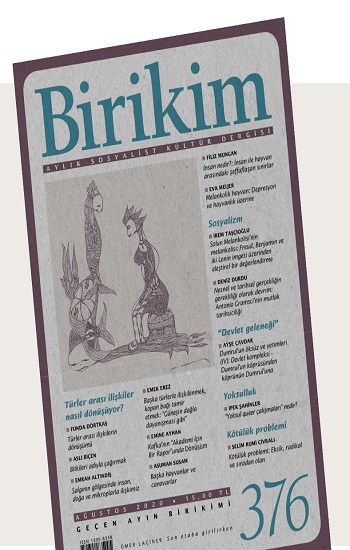 Birikim Sayı 376