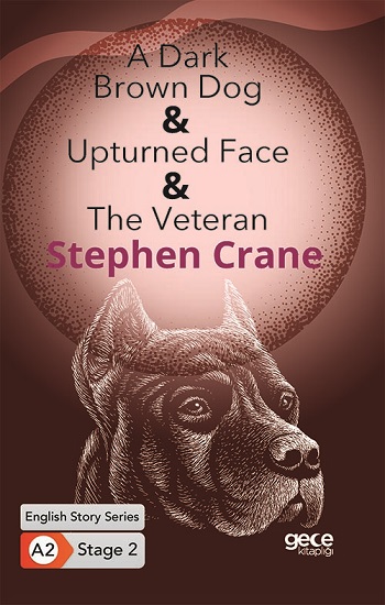 A Dark Brown Dog - Upturned Fax - The Veteran