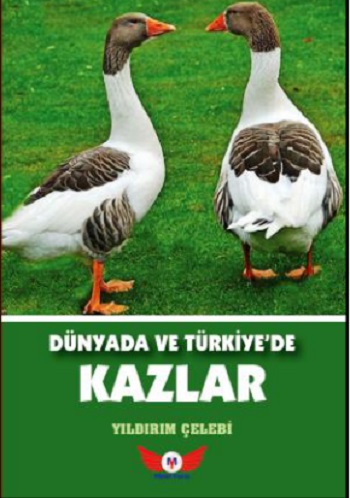 Dünyada Ve Türkiye’de Kazlar