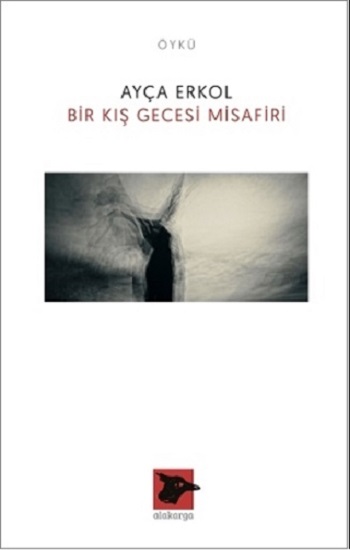 Bir Kış Gecesi Misafiri