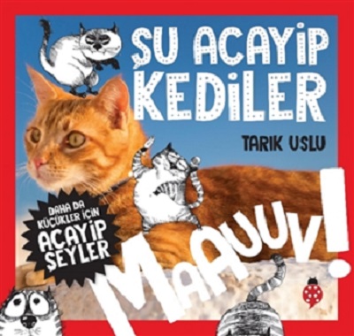 Şu Acayip Kediler - Maauuv!