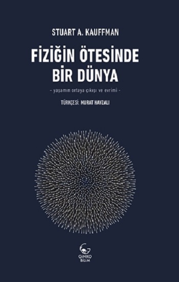 Fiziğin Ötesinde Bir Dünya