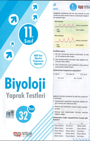 11. Sınıf Biyoloji Yaprak Testleri