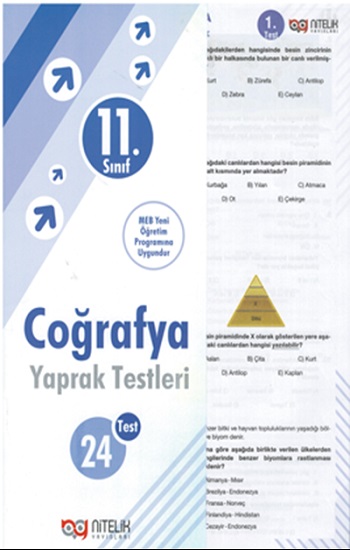 11. Sınıf Coğrafya Yaprak Testleri