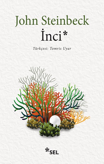 İnci