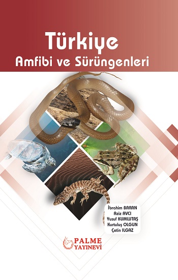 Türkiye Amfibi ve Sürüngenleri (Ciltli)