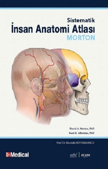 Morton İnsan Anatomisi