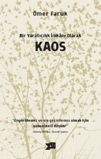 Bir Yaratıcılık İmkanı Olarak Kaos