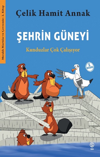 Şehrin Güneyi - Meraklı Martılar ve Çevremiz 2. Kitap