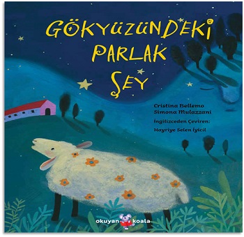 Gökyüzündeki Parlak Şey