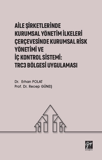 Aile Şirketlerinde Kurumsal Yönetim İlkeleri Çerçevesinde Kurumsal Risk Yönetimi ve İç Kontrol Sistemi - Trc3 Bölgesi Uygulamas