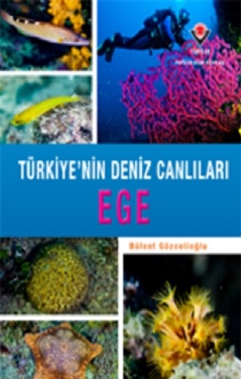 Ege - Türkiye'nin Deniz Canlıları (Ciltli)