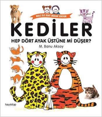 Kediler - Hep Dört Ayak Üstüne mi Düşer?