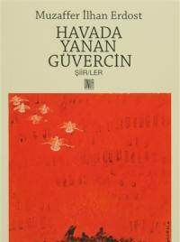 Havada Yanan Güvercin