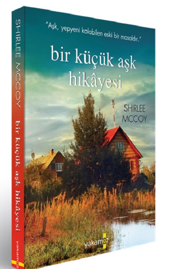 Bir Küçük Aşk Hikayesi