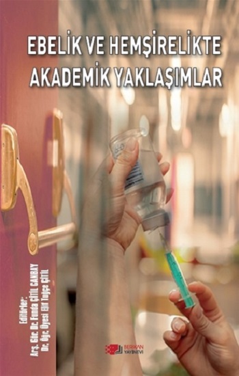 Ebelik Ve Hemşirelikte Akademik Yaklaşımlar