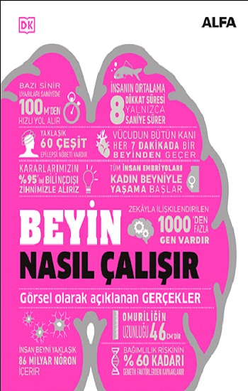 Beyin Nasıl Çalışır (Ciltli)