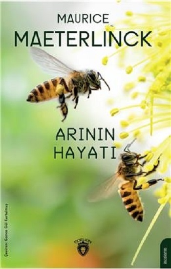 Arının Hayatı