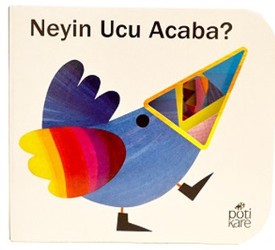 Neyin Ucu Acaba