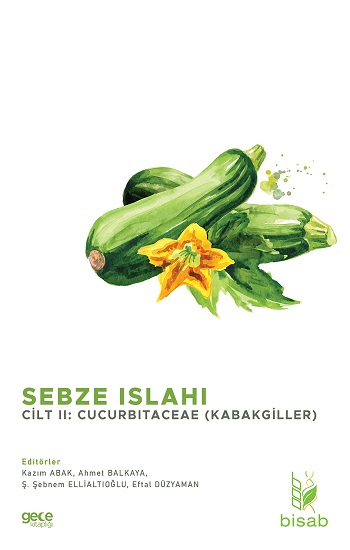 Sebze Islahı Cilt 2