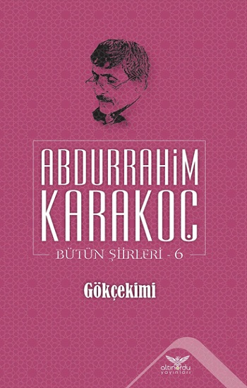 Gökçekimi - Bütün Şiirleri 6