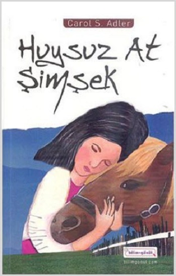 Huysuz At Şimşek