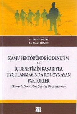 Kamu Sektöründe İç Denetim ve İç Denetimin Başarıyla Uygulanmasında Rol Oynayan Faktörler