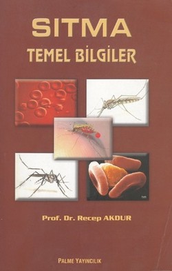 SITMA TEMEL BİLGİLERİ