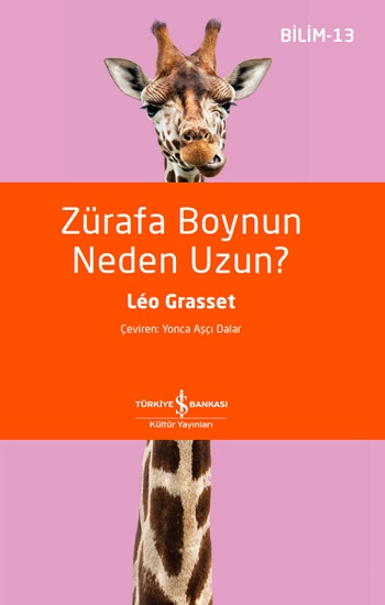 Zürafa Boynun Neden Uzun? - Bilim 13