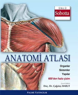 ANATOMİ ATLASI ÜNLÜ SOBOTTA ÇİZİMLERİ