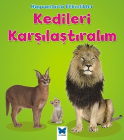 Kedileri Karşılaştıralım