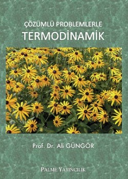 TERMODİNAMİK ÇÖZÜMLÜ PROBLEMLERLE