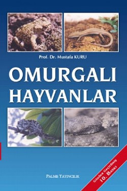 Omurgalı Hayvanlar