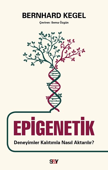 Epigenetik