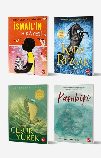 11 + Yaş İçin Okuma Seti (4 Kitap)