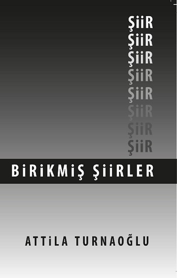 Birikmiş Şiirler