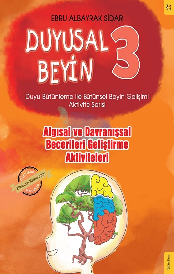 Duyusal Beyin 3