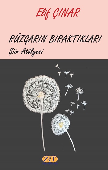 Rüzgarın Bıraktıkları