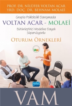 Grupla Psikolojik Danışmada VOLTAN ACAR-MOLAEİ (VAM) Bütünleştirici Modeline Dayalı Süpervizyonlu Oturum Örnekleri